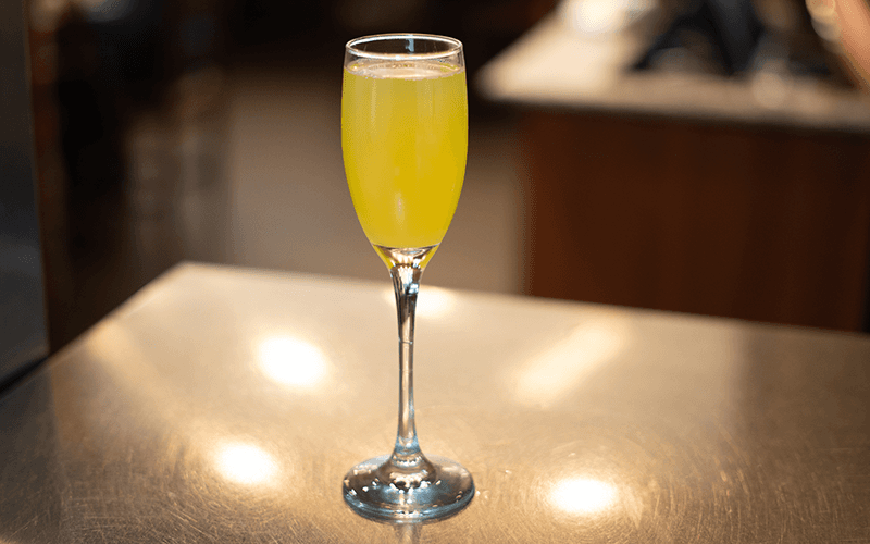 Mimosa